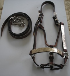 Show Halter #1