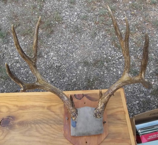 Deer Rack