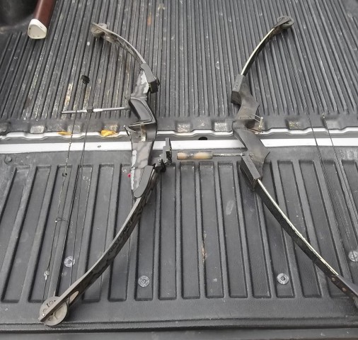 2 Compound Bows