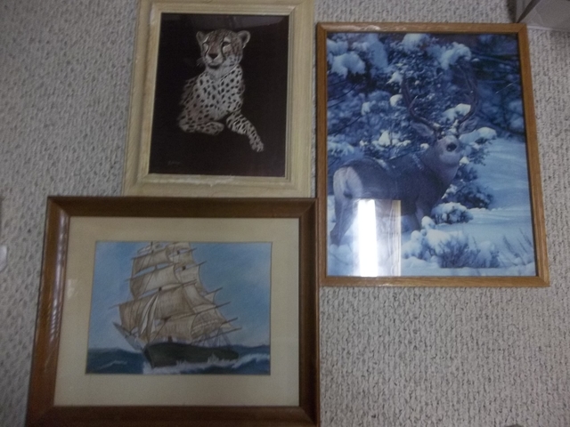 Framed Wildlife Pictures