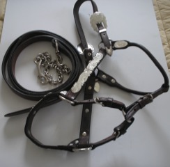 Show Halter #2