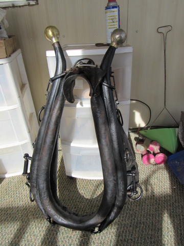 Horse Collar W/Hames